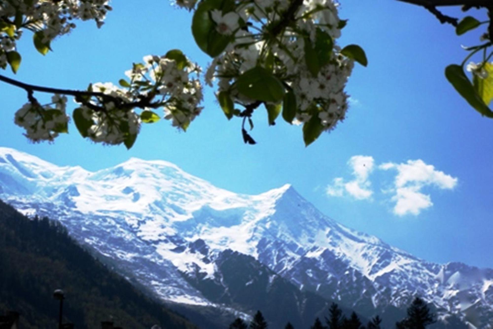 Residence Grands Montets 133 Ski In-Ski Out - Happy Rentals Chamonix ภายนอก รูปภาพ